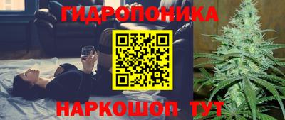 PSILOCYBIN Пугачёв