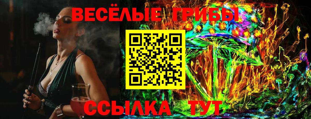 Псилоцибиновые грибы ЛСД  Псилоцибиновые грибы MAGIC MUSHROOMS  Пушкино  Вход с VPN 